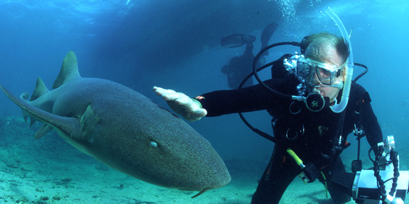 Dive With South Florida Diving Headquarters